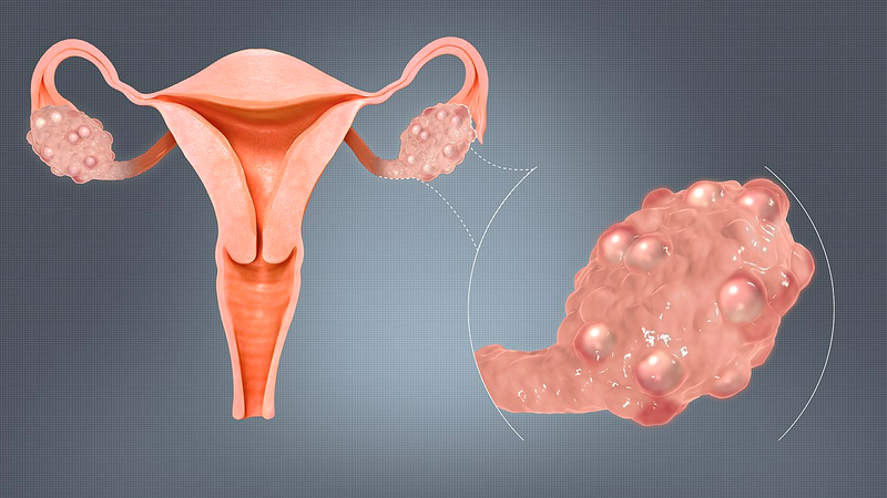 Eng yaxshi porno videolarni tomosha qiling